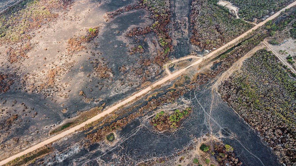 Révélation : L&rsquo;élevage bovin détruit le Pantanal brésilien