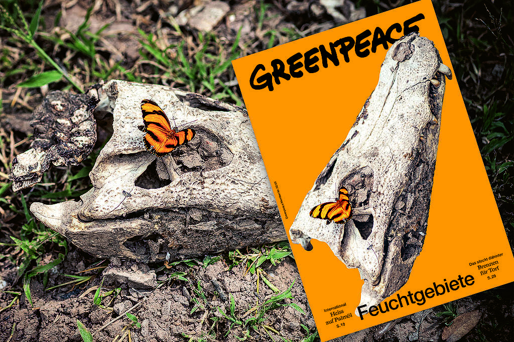 Feuchtgebiete – Warten auf den Regen