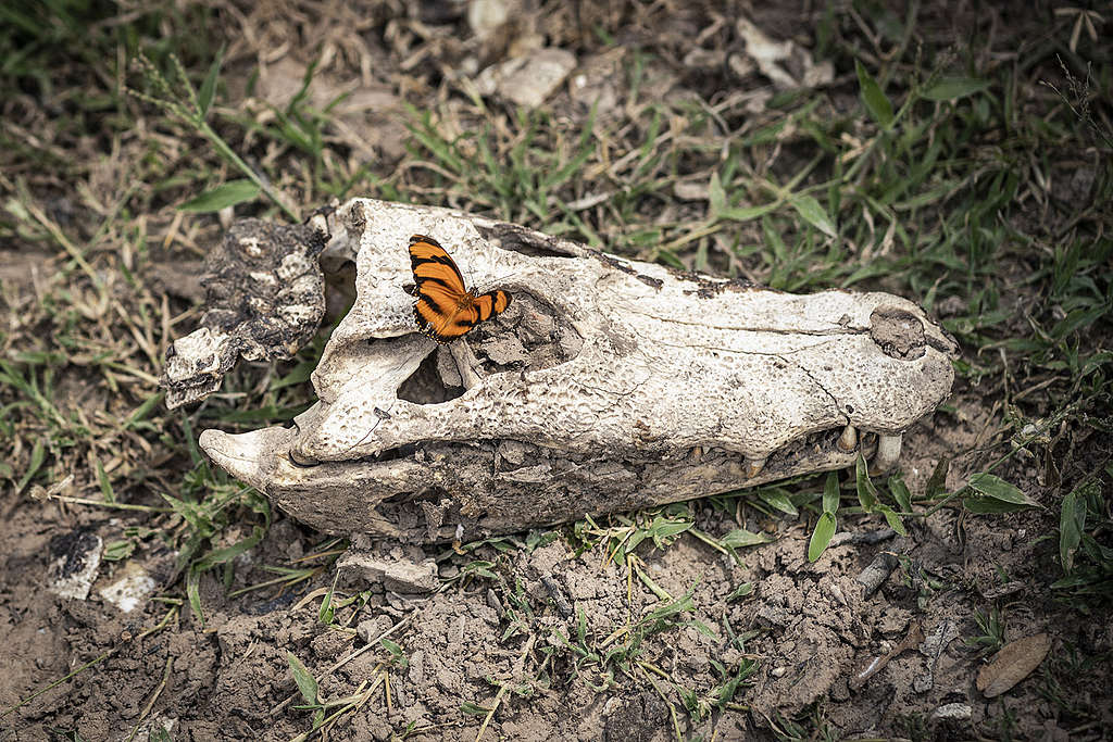Zones humides – En attendant la pluie
