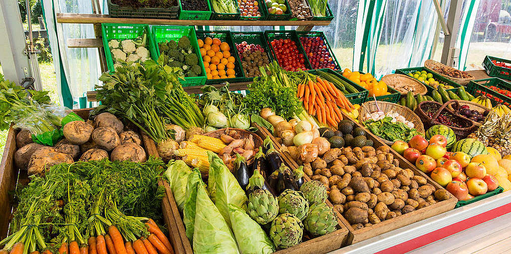 Podiumsdiskussion Landwirtschaft im Wandel in Trogen