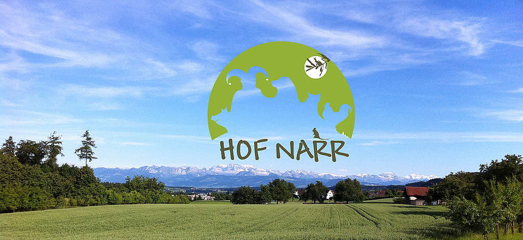 Hofführung und Gespräch über eine klimapositive Landwirtschaft