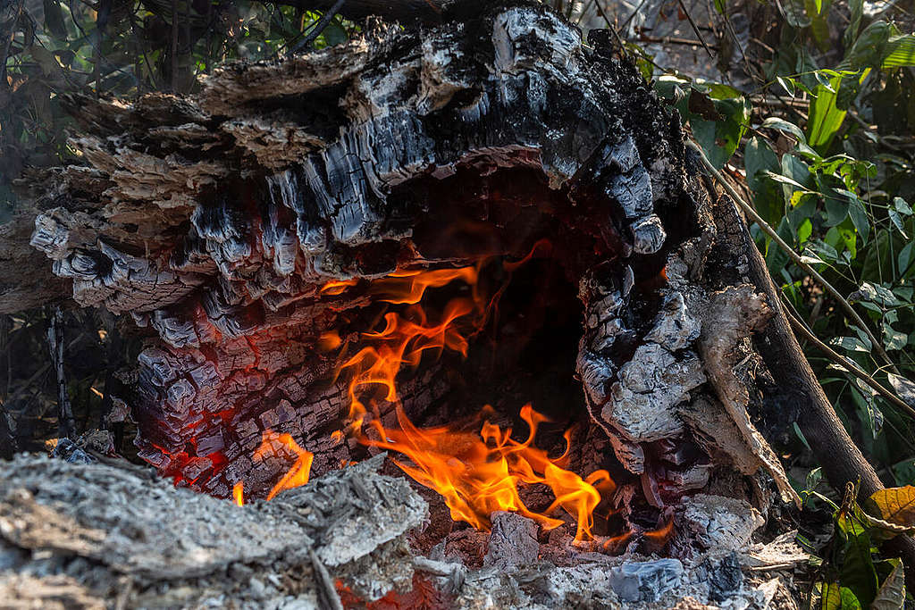 Expédition en Amazonie : La dure réalité de ceux qui vivent près des incendies