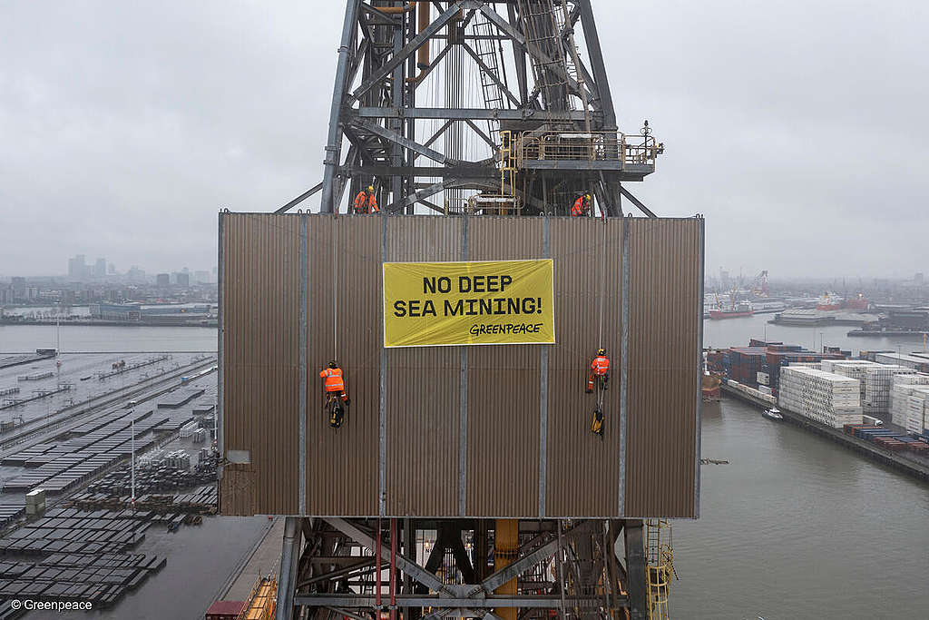 Une entreprise suisse se prépare à saccager les fonds marins