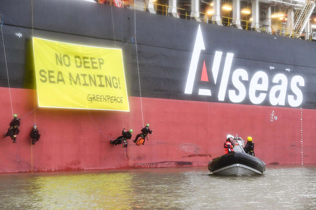 «Ein wichtiger Schritt auf dem Weg zum Schutz der Tiefsee»