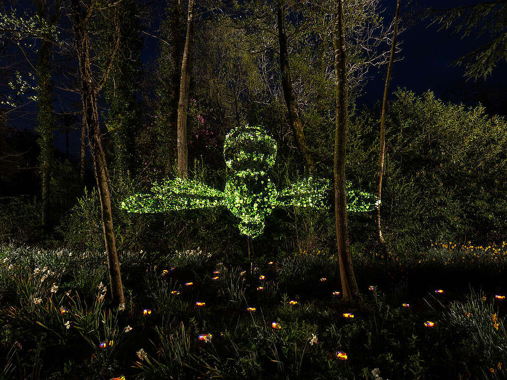 Die besten Momente des Jahres 2021 in Bildern