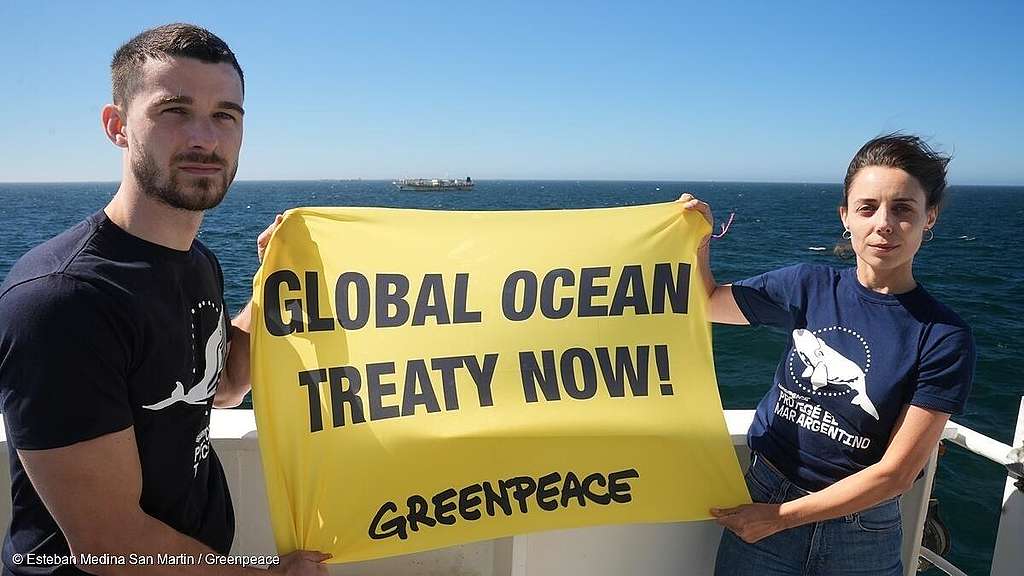 Protection des océans: échec des négociations de l&rsquo;ONU pour un accord mondial sur la protection de la haute mer