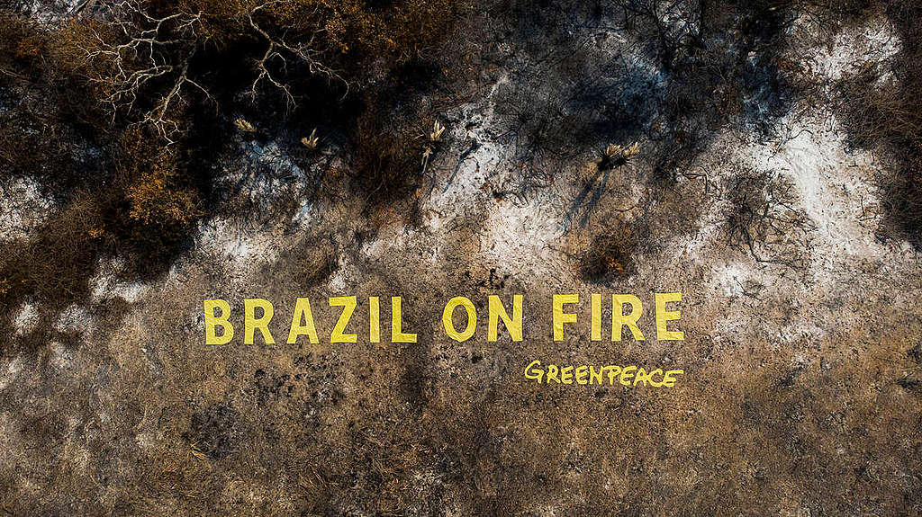 Trois ans de Bolsonaro : trois ans de destruction de l&rsquo;environnement au Brésil