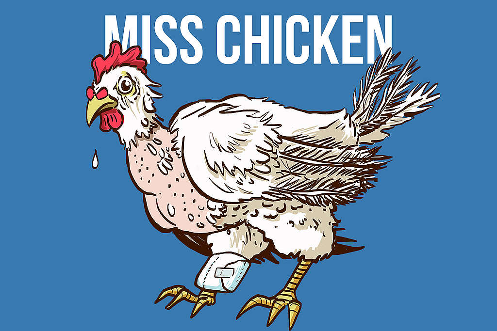 Miss Chicken &#8211; Une poule qui milite contre l&rsquo;élevage intensif et la destruction de l&rsquo;environnement