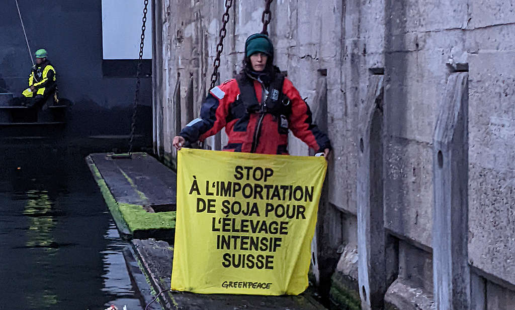 Des militant·e·s Greenpeace s&rsquo;opposent aux importations de soja pour l&rsquo;élevage intensif