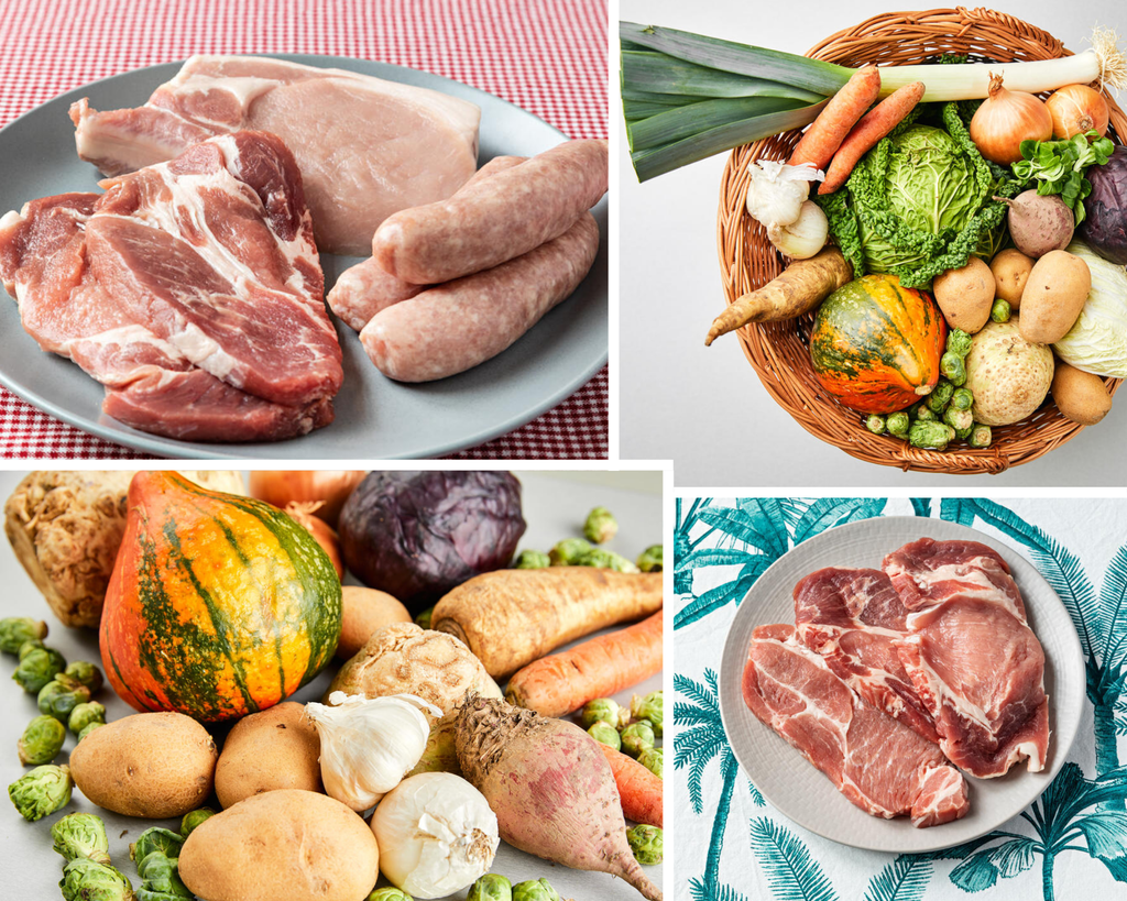 Der Dschungel der leeren Versprechungen