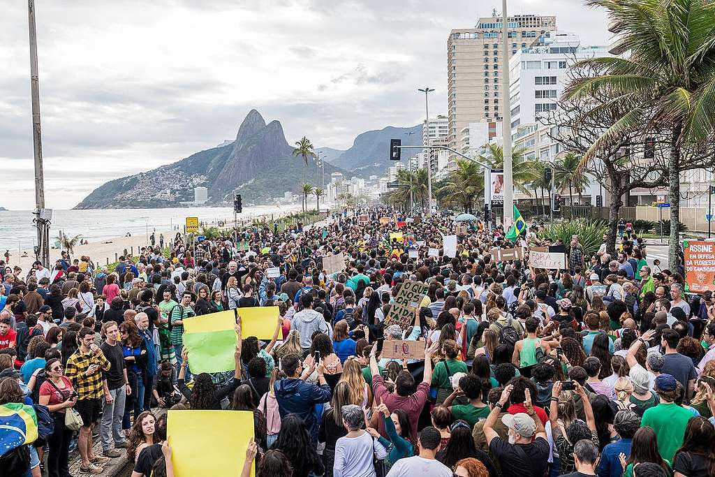 Un mouvement encourageant pour la protection de l&rsquo;Amazonie