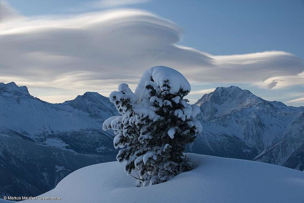 Schädigende Subventionen verschlimmern Biodiversitätskrise und sprudeln munter weiter