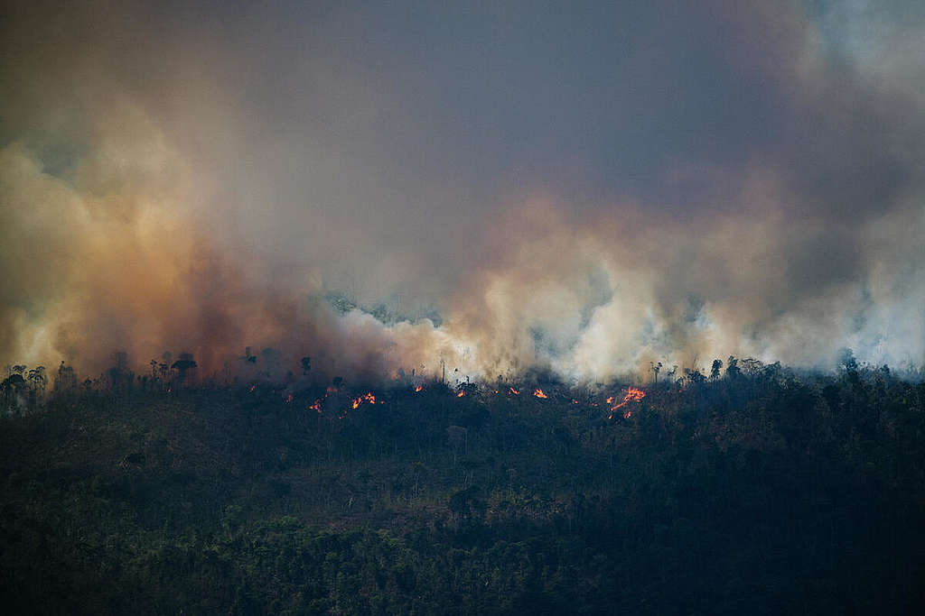 2022 : l&rsquo;année des feux de forêt
