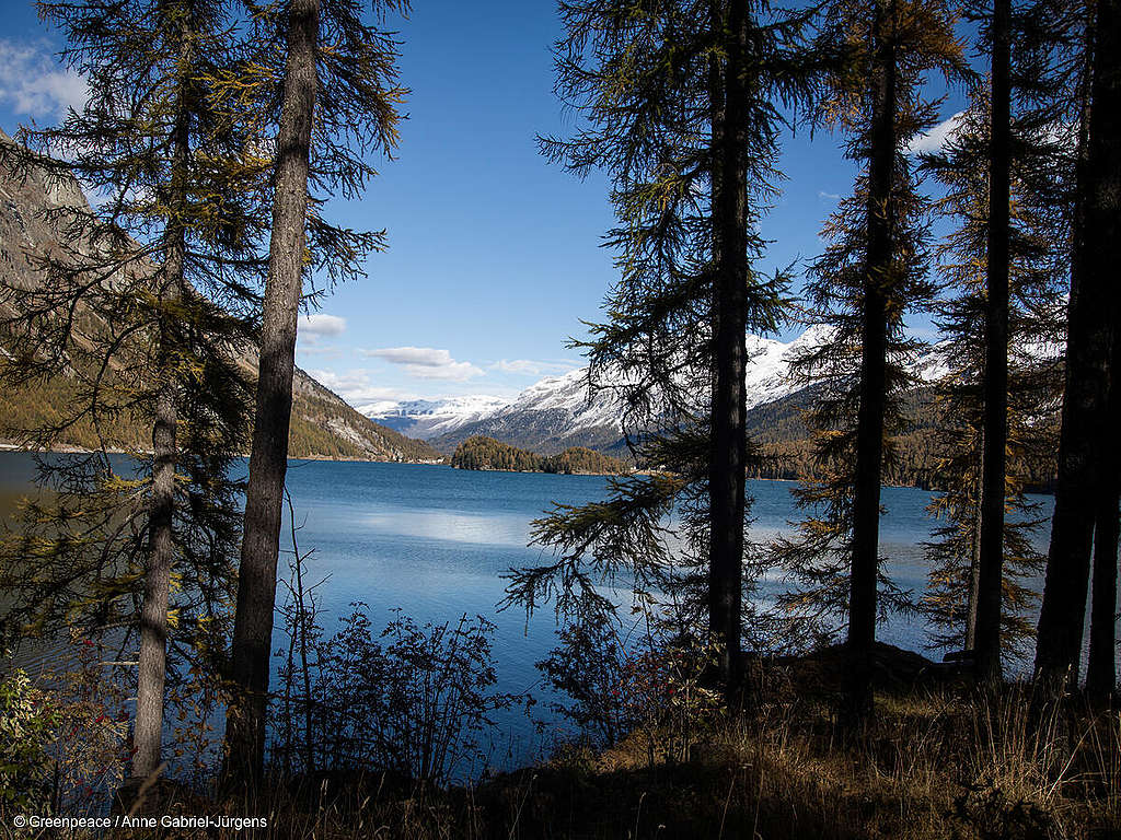 Loi sur l’énergie au Conseil des États : l’attaque à la protection des biotopes est incompréhensible