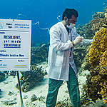 Diagnose eines Korallenriffs im Roten Meer vor der Küste Ägyptens