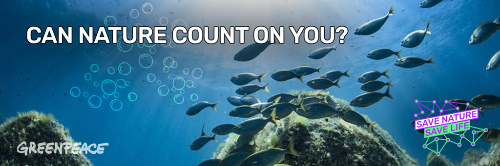 COP15: Es bleiben viele Fragen offen