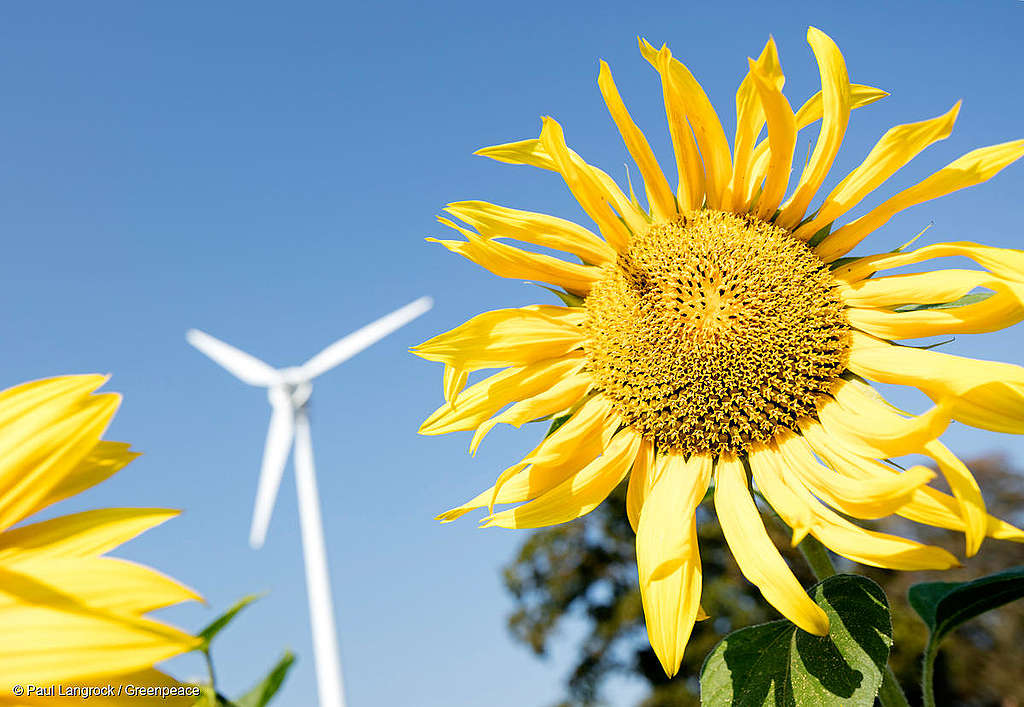 Commentaire des organisations environnementales sur l&rsquo;offensive éolienne de la CEATE-N