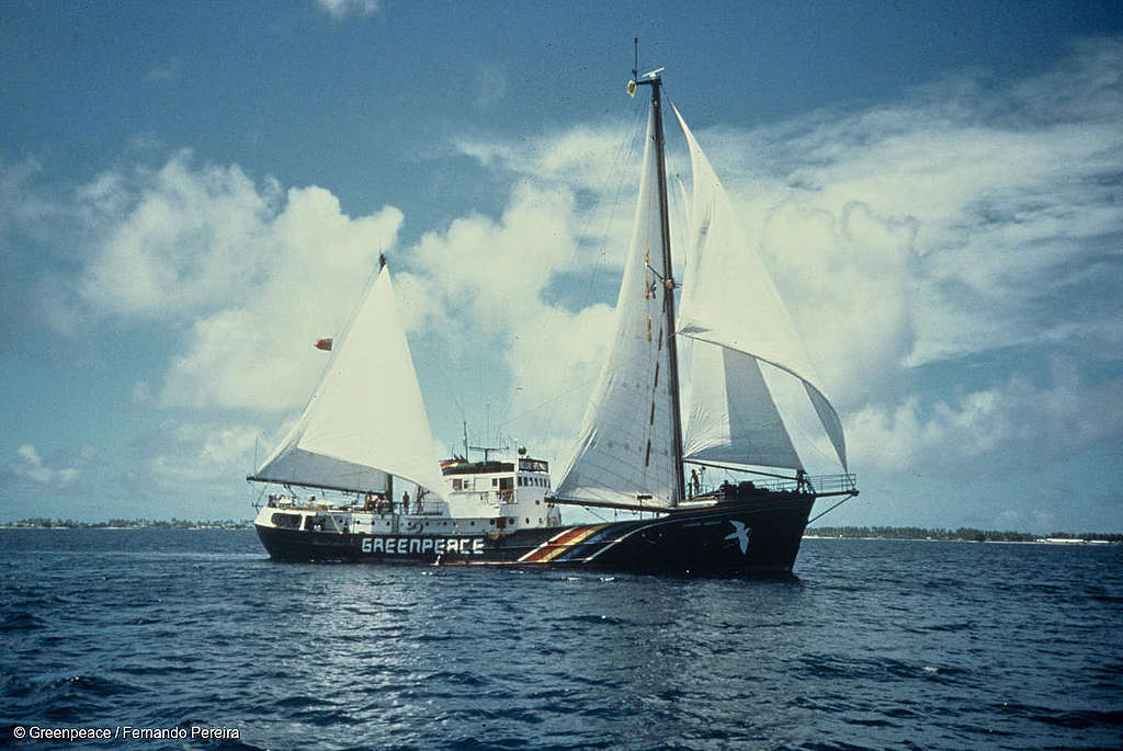 <strong>Ressources éducatives sur le Rainbow Warrior</strong>