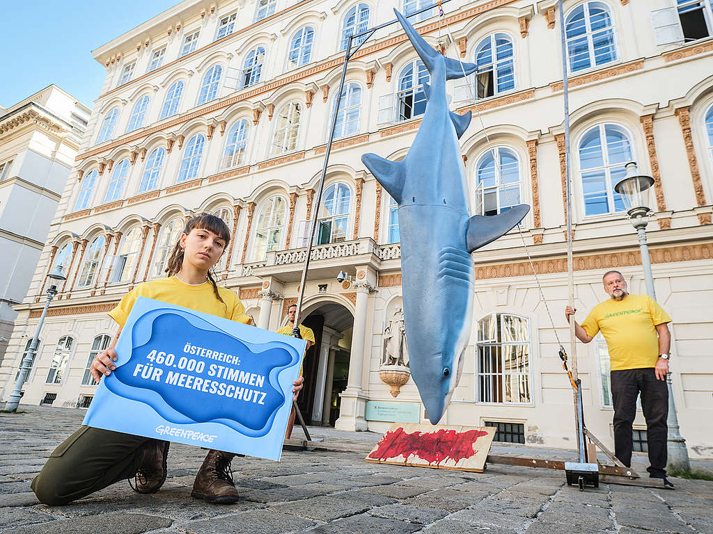 40 Jahre Greenpeace in Österreich: Herzliche Gratulation