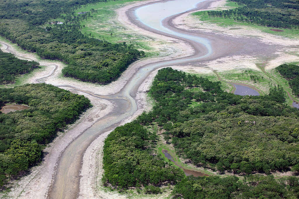 Dürre im Amazonas bedroht Menschen und Artenvielfalt