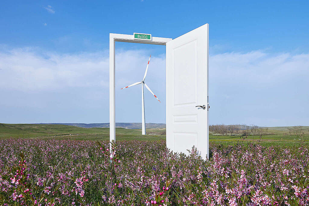 Die besten Greenpeace-Bilder 2023