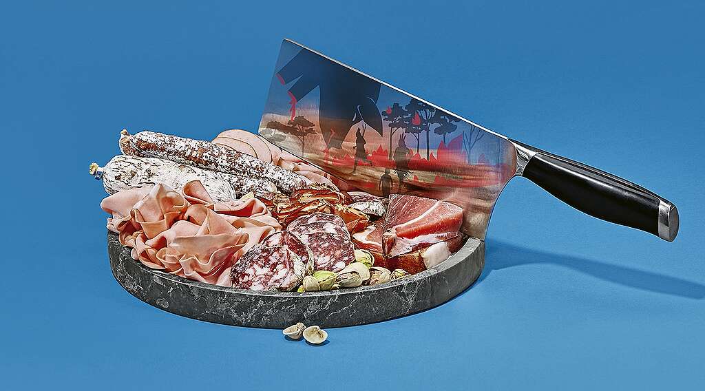 18’715 Menschen fordern ein Werbeverbot für Tierprodukte als Nahrungsmittel