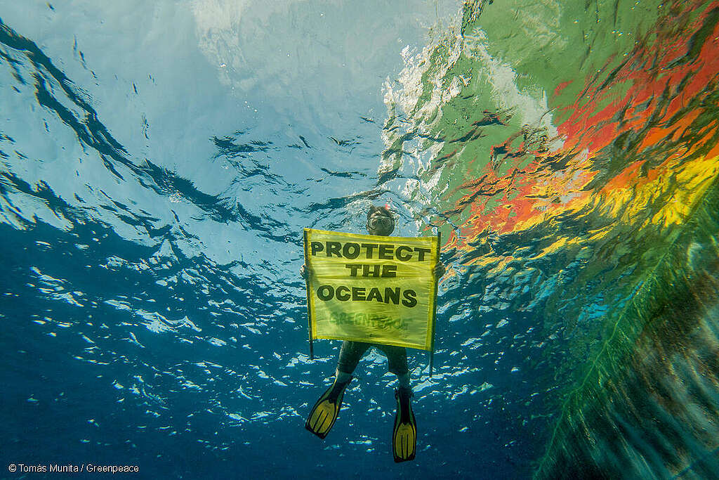 Traité mondial pour les océans: hâtez-vous M. Rösti! 
