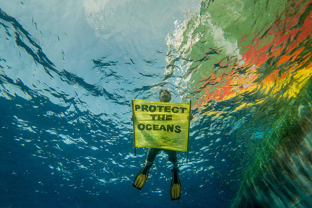 4. März: Ein historischer Tag für den Meeresschutz
