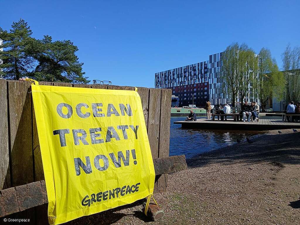 Greenpeace kritisiert mangelnden Ehrgeiz der UNO-Ozeankonferenz