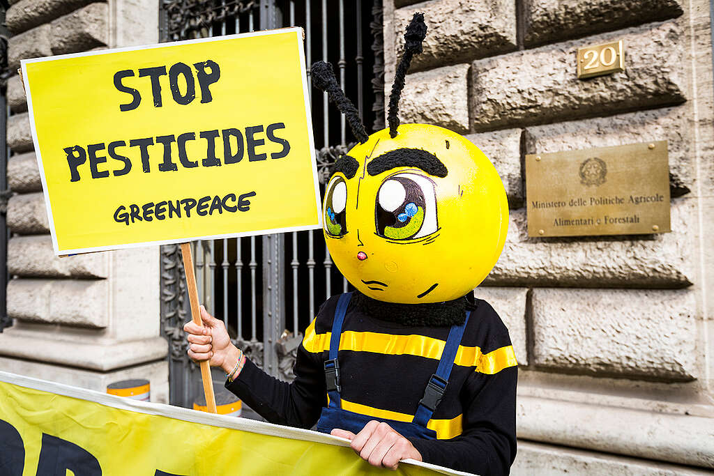 Pesticide: le Tribunal fédéral tranche en faveur de la biodiversité et contre Syngenta