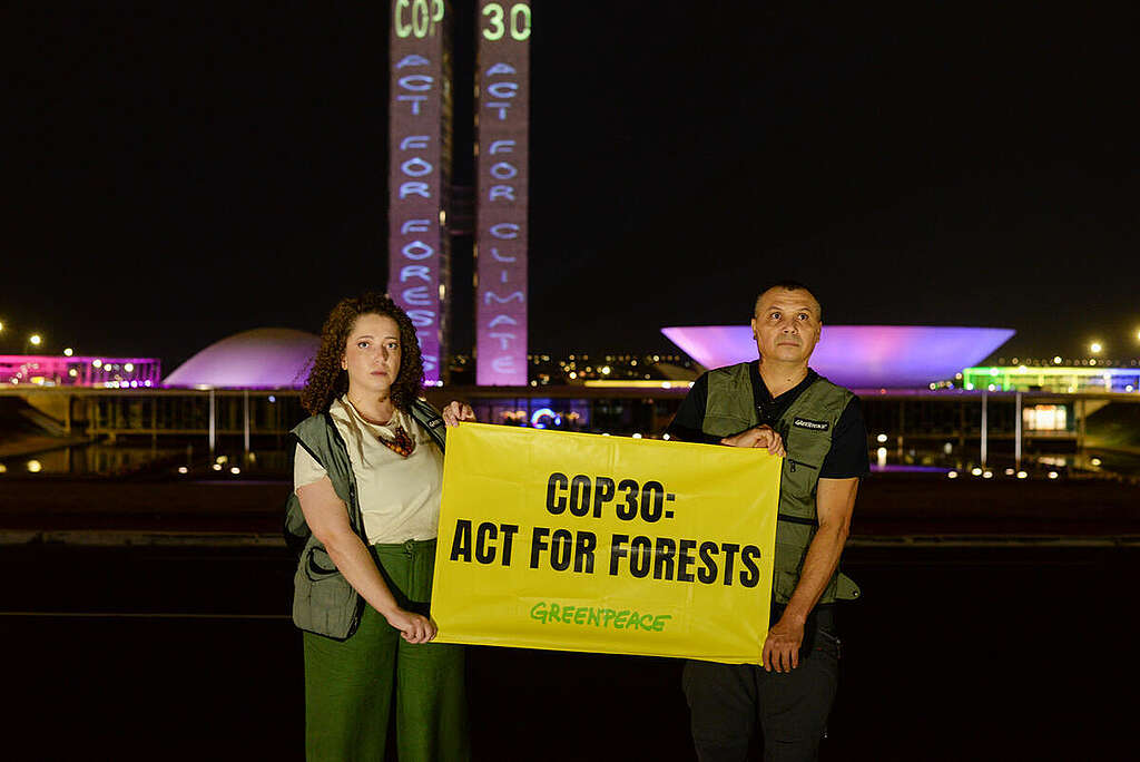 9 personnes sur 10 soutiennent la protection des forêts pour lutter contre le réchauffement climatique
