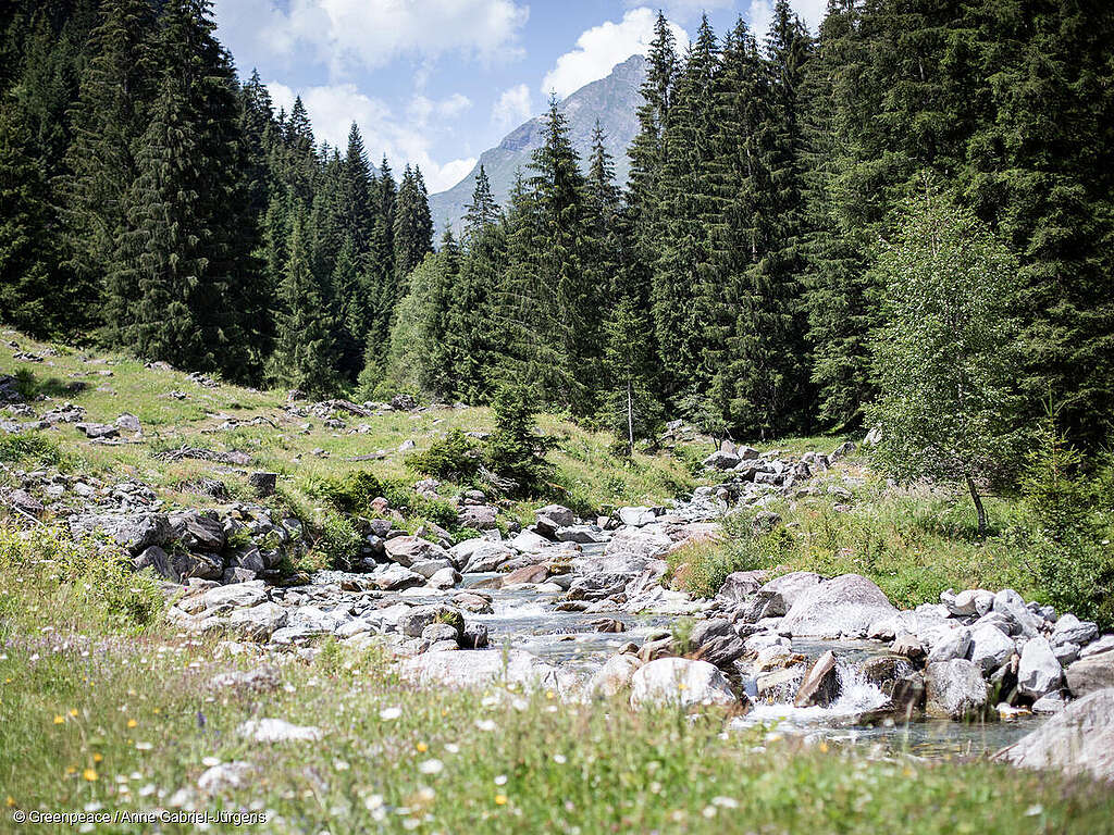 Am 14. Juni NEIN zur Initiative &laquo;Keine 10 Millionen-Schweiz&raquo;