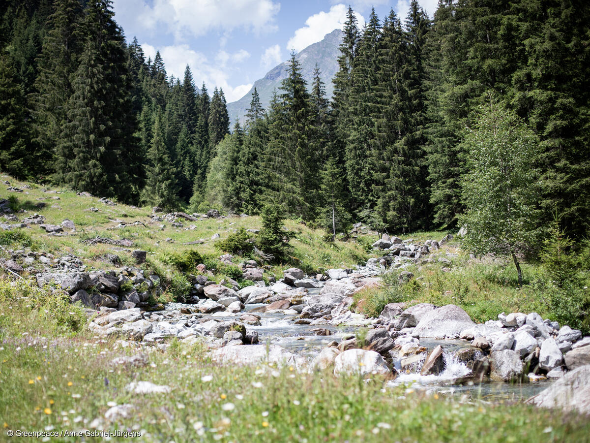 Am 14. Juni NEIN zur Initiative &laquo;Keine 10 Millionen-Schweiz&raquo;