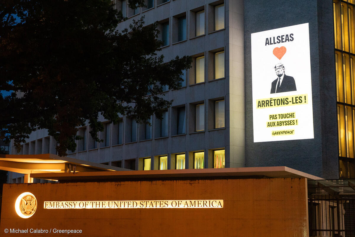 Projection d’images sur l’ambassade états-unienne à Berne: Allseas et Trump, pas touche aux abysses!