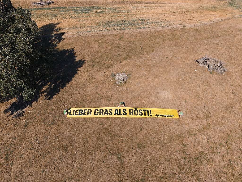 Greenpeace-Protest für eine zukunftsfähige Agrarpolitik: Extreme Trockenheit als Alarmsignal