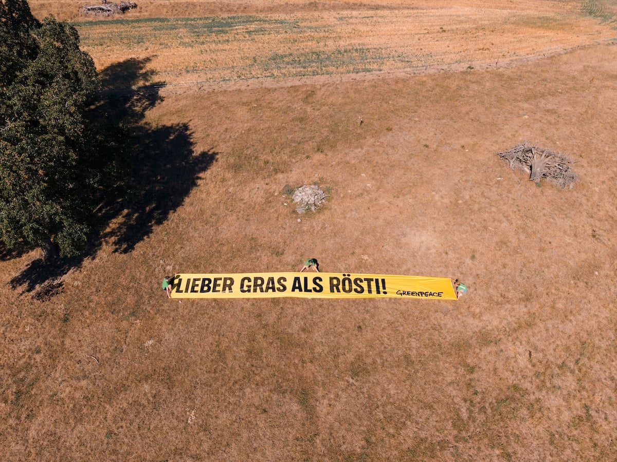 Greenpeace-Protest für eine zukunftsfähige Agrarpolitik: Extreme Trockenheit als Alarmsignal