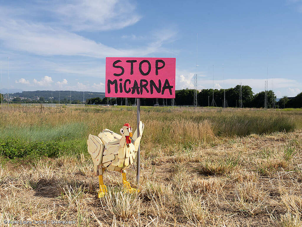Micarnas Mega-Schlachthof gefährdet die Wasserversorgung der Broye-Region