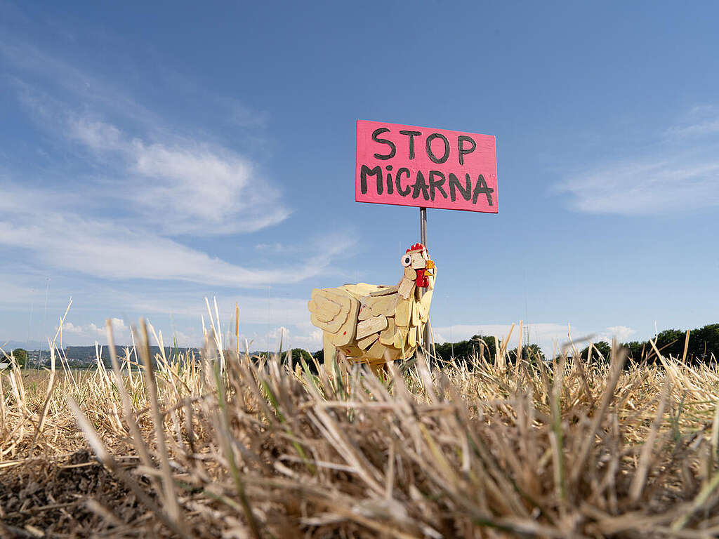 Schlachthofprojekt Micarna in St-Aubin