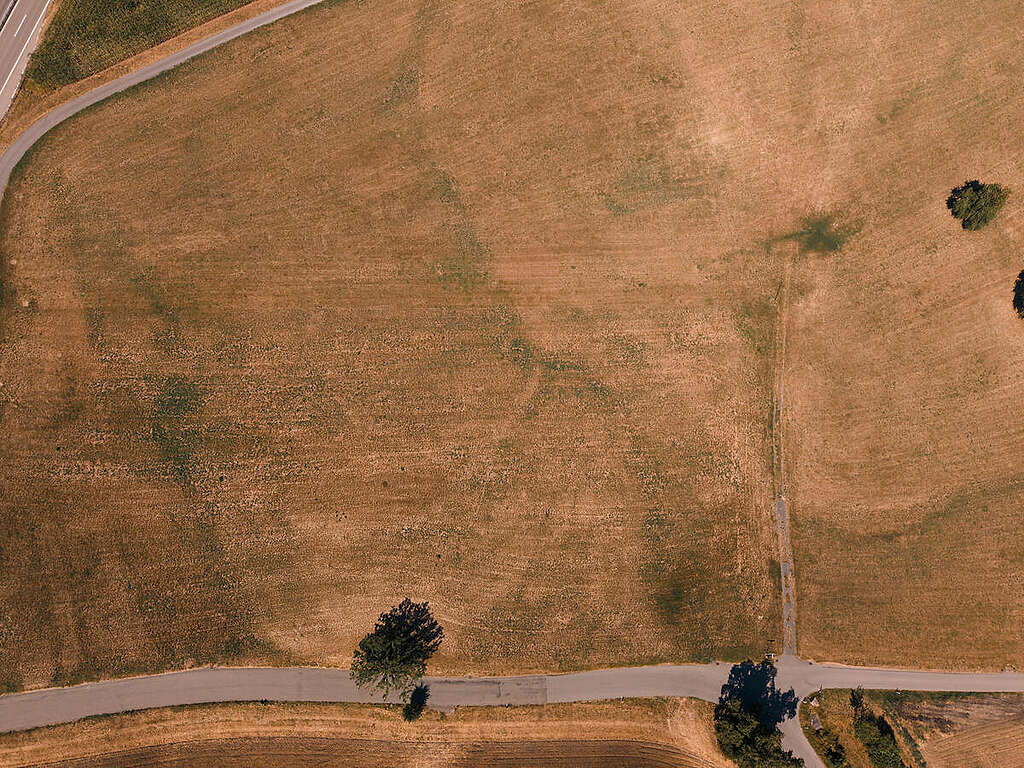 AP 2030+: Schweizer Landwirtschaft ist nicht klimafit 