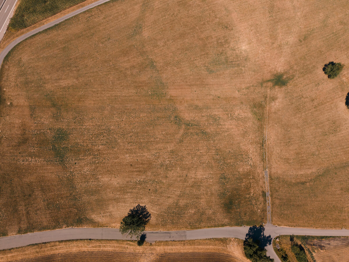 AP 2030+: Schweizer Landwirtschaft ist nicht klimafit