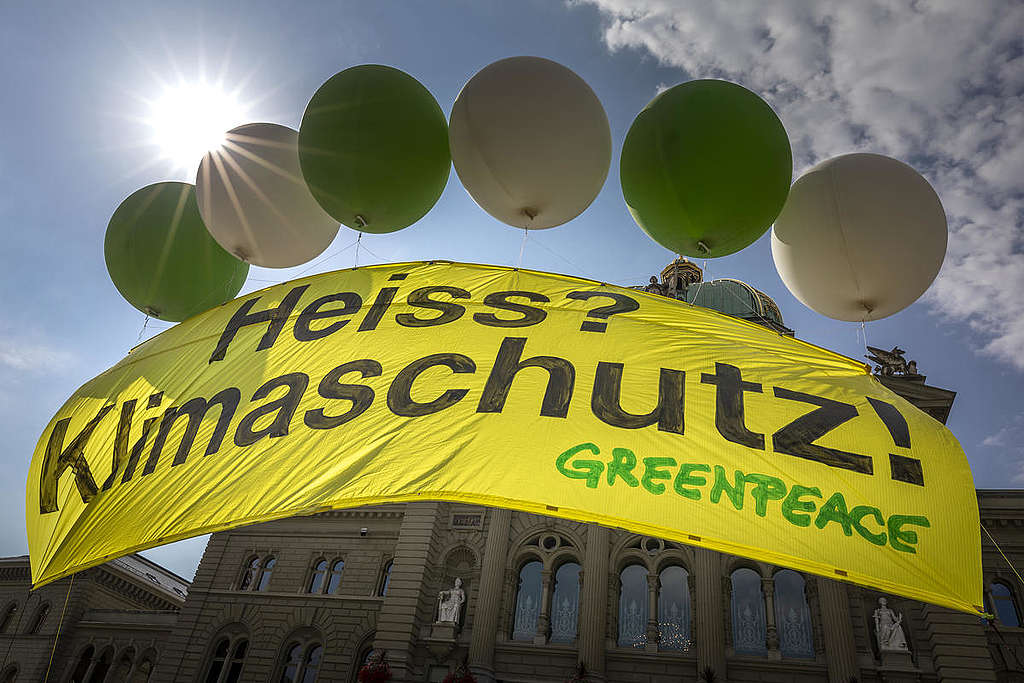 Greenpeace sagt Ja zum neuen CO2-Gesetz – die Gründe