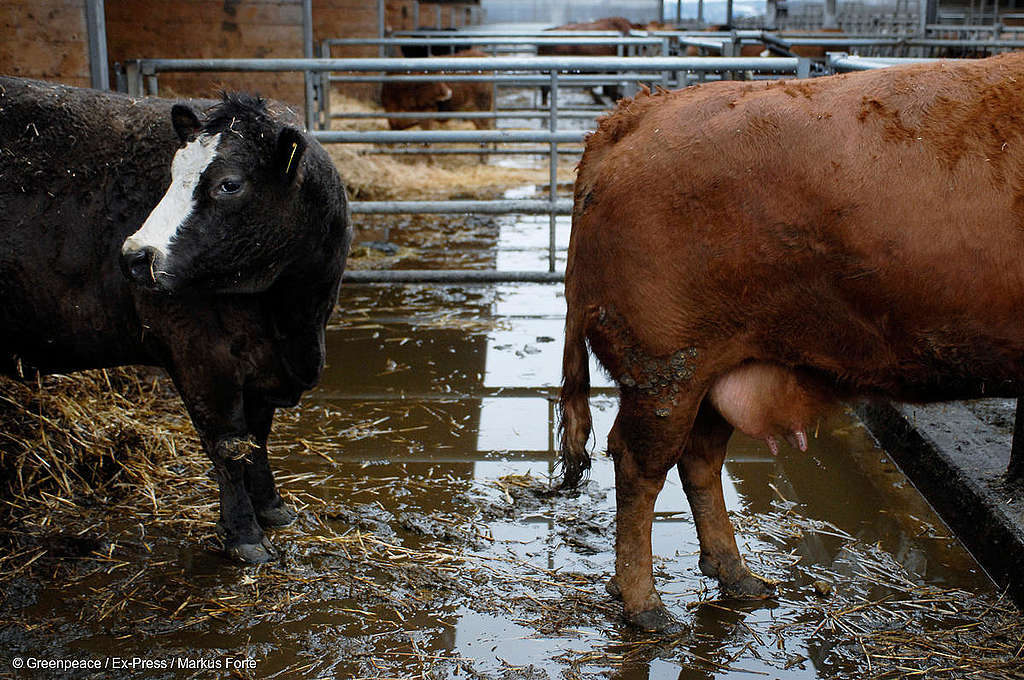 Le Conseil des Etats refuse de réformer l’agriculture