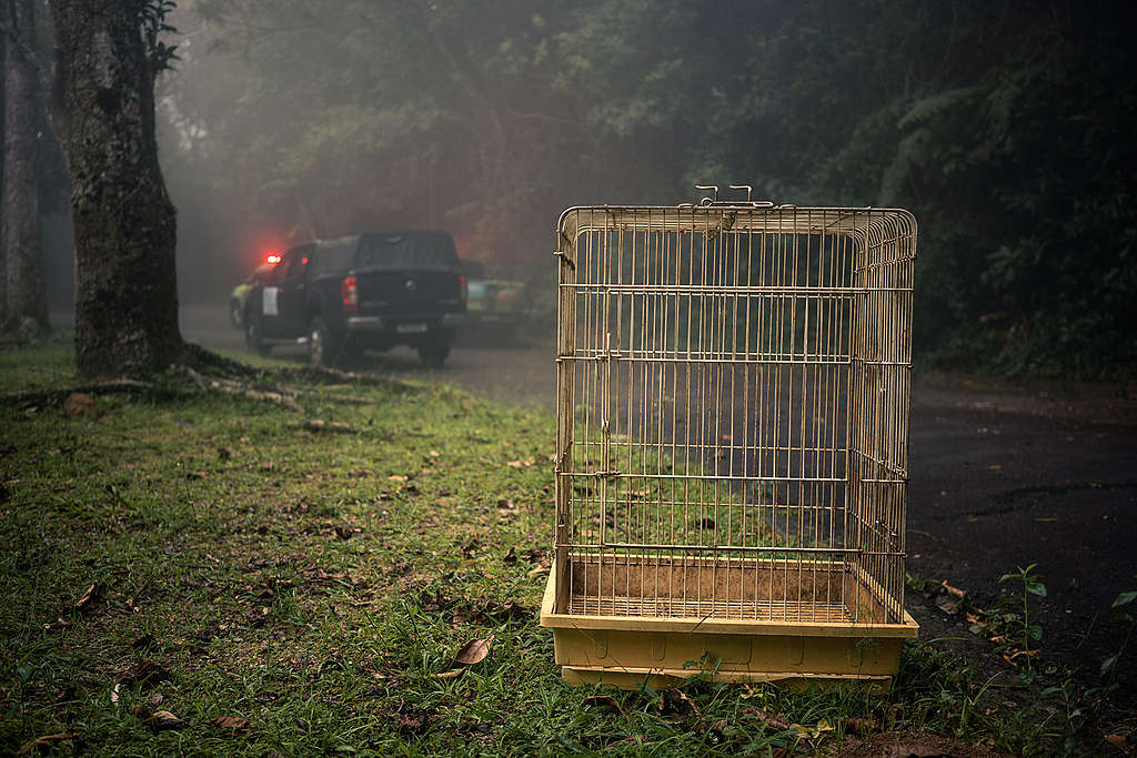 Wildhüter der Grossstadt